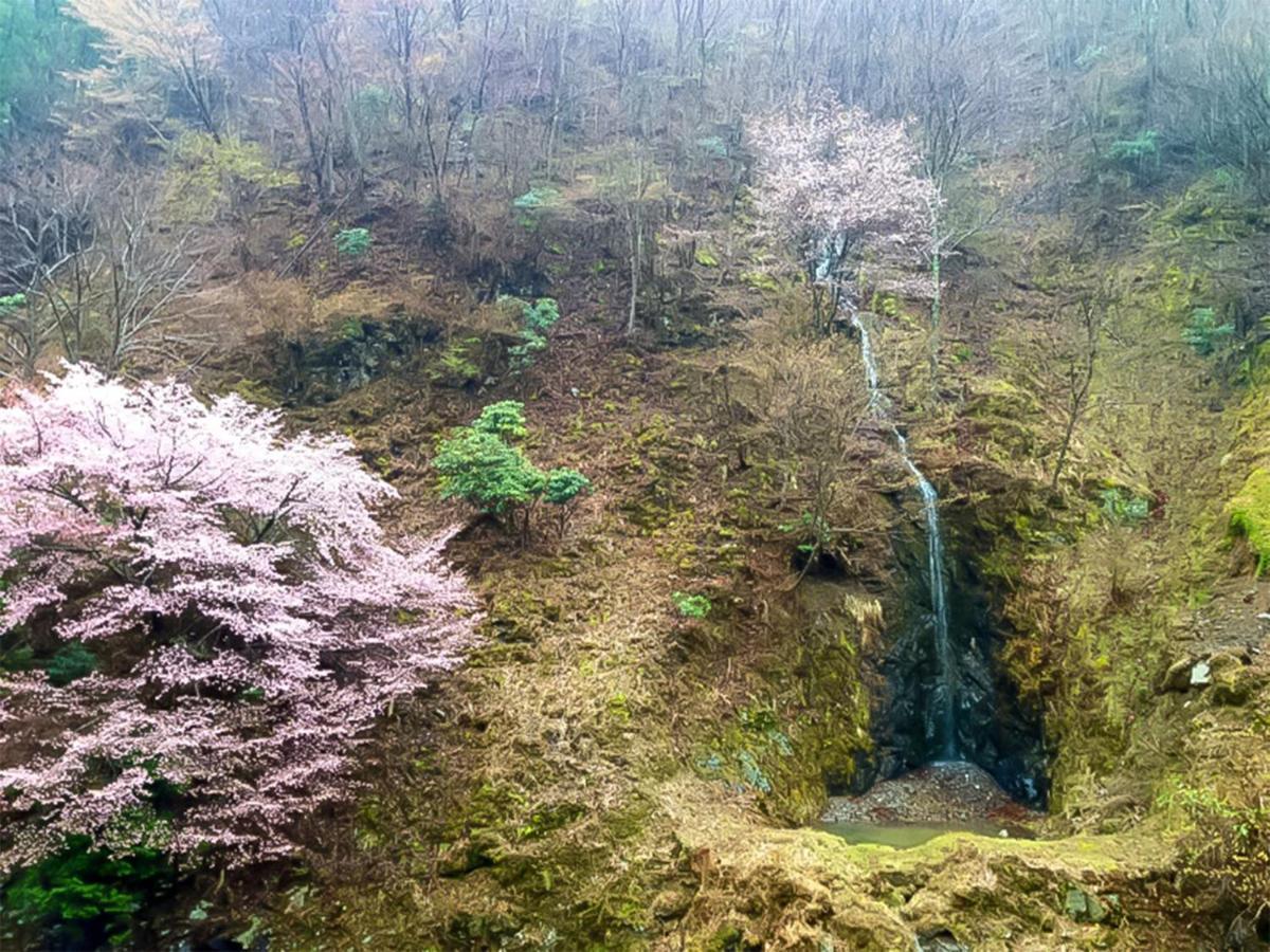 호텔 노세가와 Nosegawa 외부 사진